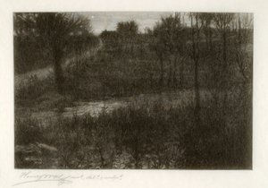 De Avondster (Motief gevonden in de Catskills) door Henry Wolf