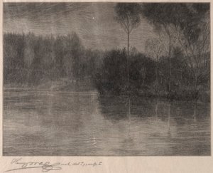 De Morgenster door Henry Wolf