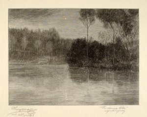De Morgenster door Henry Wolf