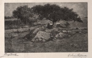 Langs de weg