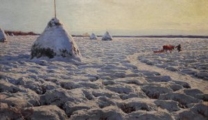 Litouwse moerassen onder sneeuw.