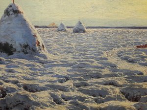 Litouwse moerassen onder sneeuw