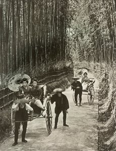 Een Bamboe Avenue in Kyoto, 1910