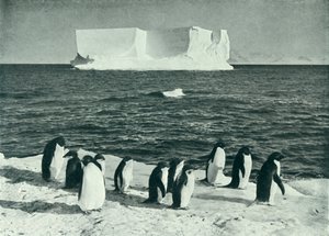 Een ijsberg drijvend in McMurdo Sound, c1910-1913, 1913 door Herbert Ponting