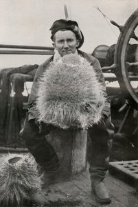 D. G. Lillie, met enkele van de kiezelachtige sponzen, c1911, 1913 door Herbert Ponting