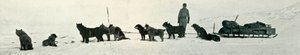 Honden met Voorraad die Hutpunt Verlaten, ca. 1911, 1913 door Herbert Ponting