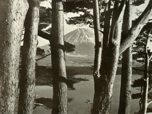 Fuji en de Pijnbomen, 1910