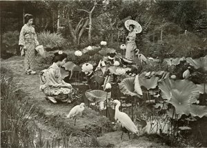 In Lotus-Land, 1910