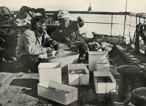 Lillie en Dr. Levick sorteren een sleepnetvangst, c1910-1913, 1913 door Herbert Ponting