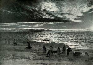 De Middernachtzon in McMurdo Sound, c1910-1913 door Herbert Ponting
