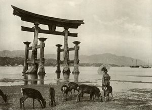 De Oude Torii in Miyajima, 1910 door Herbert Ponting