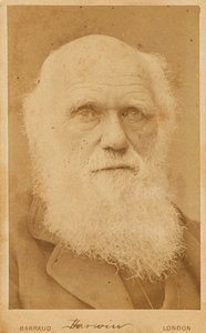 Portret van Charles Darwin 1809-1882