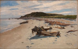 Cape Cod, Strand door Herman Hartwich
