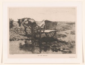 Paardenkar op de heide