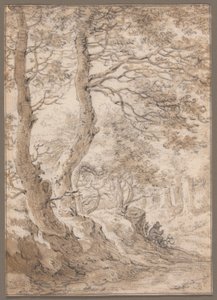Een bosinterieur, met een zittende figuur door Herman Saftleven