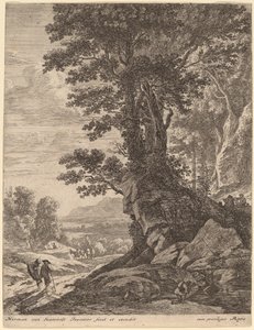 Een Groep Bomen