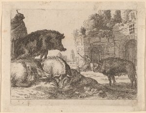 Varkens door Herman van Swanevelt