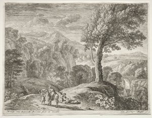 De Grote Boom en de Waterval