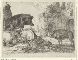 Varkens door Herman van Swanevelt
