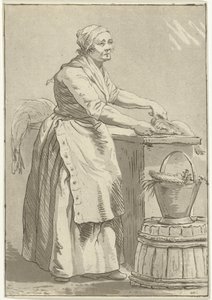 Vis schoonmakende vrouw