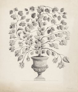 Stamboom van het Huis Oranje-Nassau door Hermanus Johannes Abbring