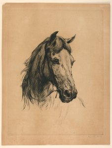 Hoofd van een paard door Heywood Hardy