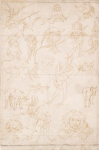 Groteske studies, c1500-1520 door Hieronymus Bosch