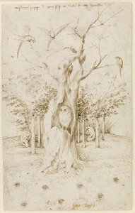 Het Bos Heeft Oren, Het Veld Heeft Ogen door Bosch, Hieronymus (ca. 1450-1516). Pen, bruine Indiase inkt op papier, formaat: 20,2x12,7, ca. 1500-1515, Staatliche Museen, Berlijn door Hieronymus Bosch