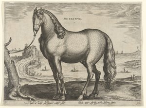 Paard uit Bretagne door Hieronymus Wierix