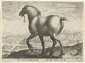 Paard uit Saksen