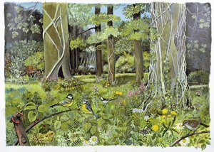 Achter de Squires, Devon door Hilary Jones