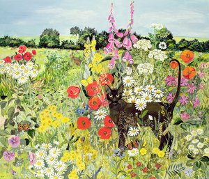Zomerkat door Hilary Jones