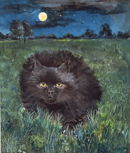 De kat en de maan