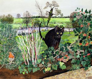 Winterkat door Hilary Jones