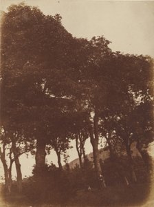 [Veld bij Bonaly]. door Hill and Adamson