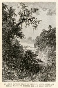 In een prachtig rijtuig, getrokken door schitterende paarden, reden Aouda en Phileas Fogg door het rijke boslandschap, uit De Reis om de Wereld in Tachtig Dagen door Jules Verne (1828-1905) gegraveerd door Henri-Théophile door Hippolyte Leon after Benett