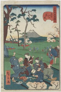 Nr.5, Kersenbloesem kijken op Asuka Hill door Hirokage Utagawa