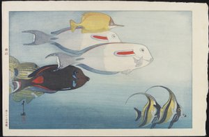 Het Honolulu Aquarium door Hiroshi Yoshida