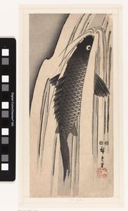 Karper opzwemmend tegen een waterval door Hiroshige (I) , Utagawa