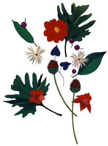Een bloem die je aan Kerstmis doet denken door Hiroyuki Izutsu