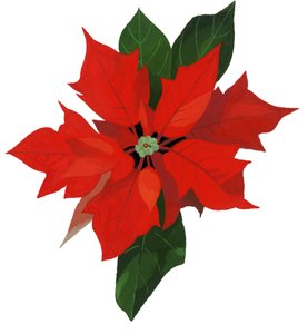 Kerstster