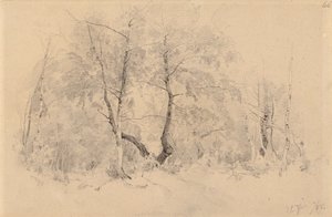 Berkenbosje door Hjalmar Munsterhjelm
