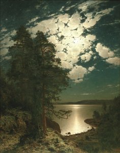Moonlit Night