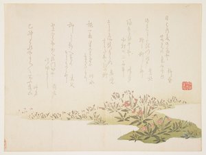 Viooltjes, ca. 1848-53