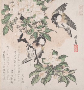 Lente regen collectie Harusame shu, deel 3: Mezen en appelbloesems