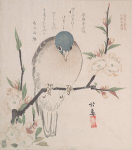 Lente Regen Collectie Harusame shu, vol. 3: Bergduif en perzikbloemen