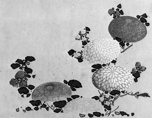 Chrysanten, 19e eeuw