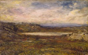 Wilde Kust, Newport, ca. 1885-1895