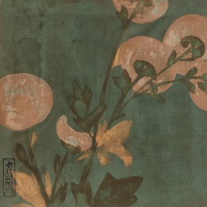 Chrysanten, Edo-periode, late 16e - vroege 17e eeuw