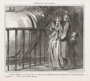 Tentoonstelling van Dieren: Pl. 5, De Koe-Olifant, Nieuwe Variëteit door Honoré Daumier